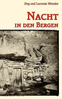 Nacht in den Bergen - Jörg Wenzler - ebook