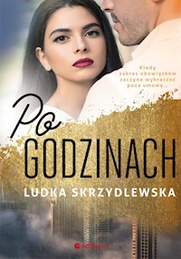 Po godzinach - Skrzydlewska Ludka - ebook + audiobook + książka