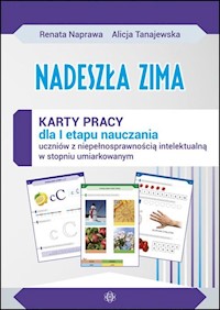 Nadeszła zima Karty pracy sztywna teczka - Naprawa Renata, Tanajewska Alicja - książka