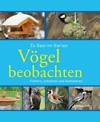 Vögel beobachten - Axel Gutjahr - ebook