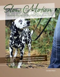 Slow Motion - Edna Peters - ebook