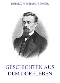 Geschichten aus dem Dorfleben - Heinrich Schaumberger - ebook