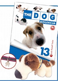 Dog Kolekcja 13 Jack Russell Terrier -  - książka