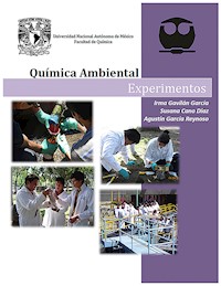 Química Ambiental. Experimentos - Irma Gavilán García - ebook