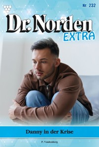 Danny in der Krise Sollte er die Schuld - Vandenberg Patricia - ebook