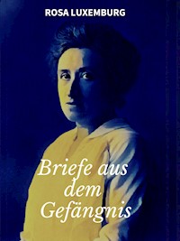 Briefe aus dem Gefängnis - Rosa Luxemburg - ebook