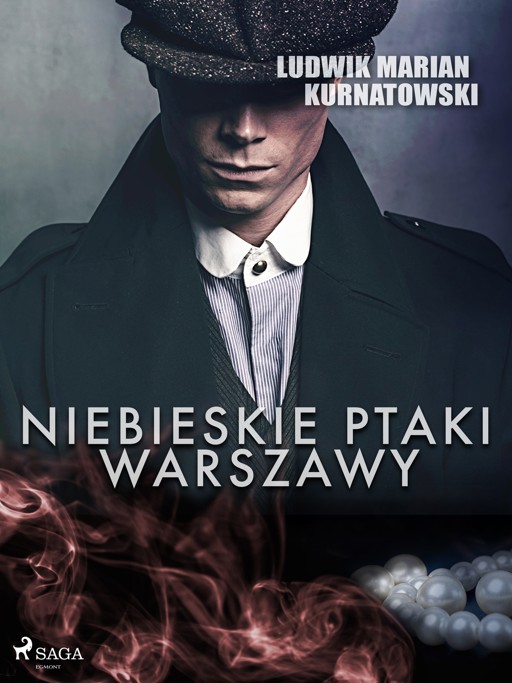 Okładka książki Niebieskie Ptaki Warszawy