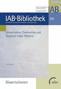 Urbanization, Commuting and Regional Labor Markets - Peter Haller - darmowy ebook