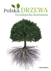 Polska Drzewa Encyklopedia ilustrowana - Przybyłowicz Anna - książka