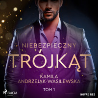 Niebezpieczny trójkąt. Tom 1 - Andrzejak-Wasilewska Kamila - audiobook