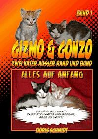 GIZMO & GONZO - Zwei Kater außer Rand und Band - Boris Schmidt - ebook