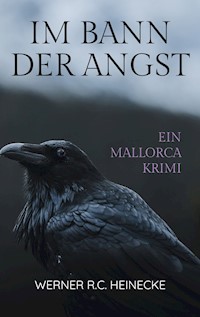 Im Bann der Angst - Werner R. C. Heinecke - ebook