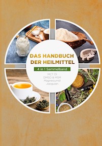 Das Handbuch der Heilmittel - 4 in 1 Sammelband - Melanie Blumenthal - ebook