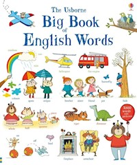 Big Book of English Words -  - książka