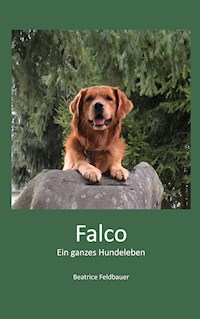 Falco - Beatrice Feldbauer - ebook