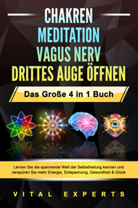 CHAKREN | MEDITATION | VAGUS NERV | DRITTES AUGE ÖFFNEN - Das Große 4 in 1 Buch: Lernen Sie die spannende Welt der Selbstheilung kennen und verspüren Sie mehr Energie, Entspannung, Gesundheit & Glück - Vital Experts - ebook
