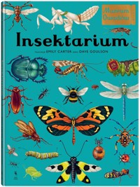 Insektarium Muzeum Owadów - Dave Goulson - książka