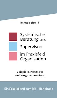 Systemische Beratung und Supervision im Praxisfeld Organisation - Bernd Schmid - ebook