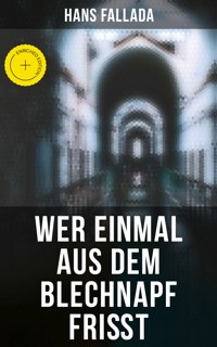 Wer einmal aus dem Blechnapf frißt - Hans Fallada - ebook