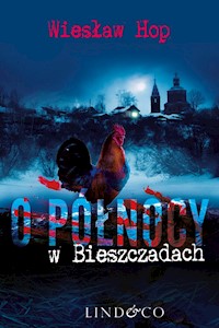 O północy w Bieszczadach - Wiesław Hop - ebook + audiobook + książka