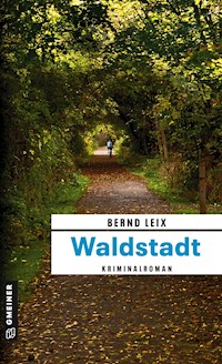 Waldstadt - Bernd Leix - ebook