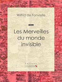 Les Merveilles du monde invisible - Ligaran - ebook