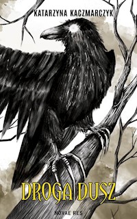 Droga dusz - Kaczmarczyk Katarzyna - ebook + książka