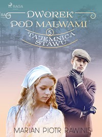 Dworek pod Malwami 5 - Tajemnica stawu - Marian Piotr Rawinis - ebook + audiobook