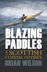 Blazing Paddles - Brian Wilson - ebook