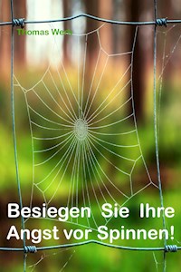 Besiegen Sie Ihre Angst vor Spinnen - Thomas Werk - ebook