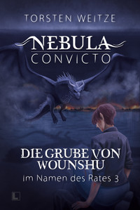 Die Grube von Wounshu: Im Namen des Rates 3 - Torsten Weitze - ebook