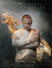 Die Chroniken der Seelenwächter - Band 12: Die Erlösung - Nicole Böhm - ebook