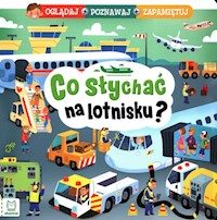 Co słychać na lotnisku? Oglądaj poznawaj zapamiętuj - Podgórska Anna - książka