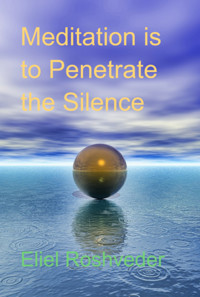 Meditation Is To Penetrate The Silence - Eliel Roshveder - ebook