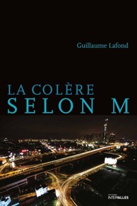 La colère selon M - Guillaume Lafond - ebook