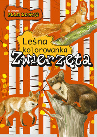 Zwierzęta Leśna kolorowanka - Katarzyna Kopiec-Sekieta - książka
