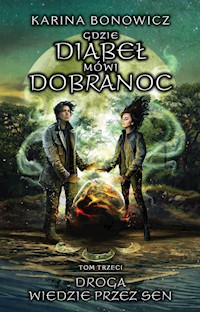 Droga wiedzie przez sen - Karina Bonowicz - książka