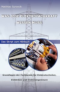 Was jede Elektrofachkraft wissen muss - Matthias Surovcik - ebook