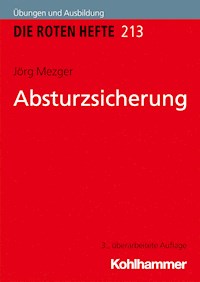Absturzsicherung - Jörg Mezger - ebook