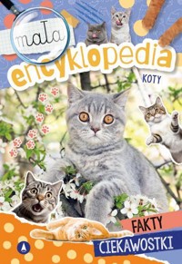 Koty. Mała encyklopedia - Wioleta Żyłowska - książka
