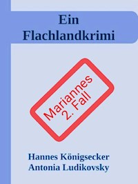 Ein Flachlandkrimi II - Hannes Königsecker - ebook