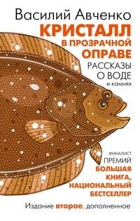 Кристалл в прозрачной оправе - Василий Авченко - ebook