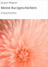 Meine Kurzgeschichten - Jürgen Wagner - ebook