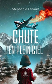 Chute en plein ciel - Stéphanie Esnault - ebook