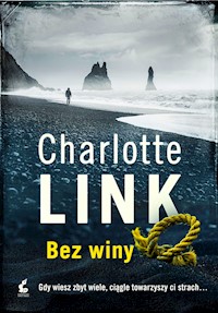 Bez winy - Charlotte Link - ebook + audiobook + książka