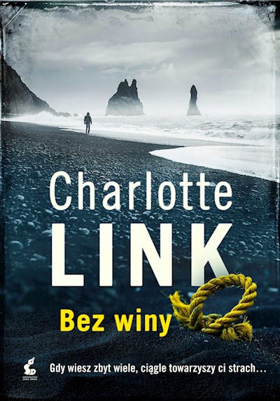 Okładka książki Bez winy