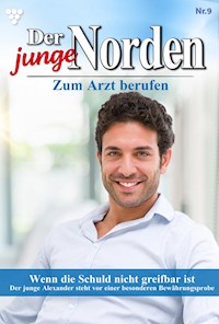 Wenn die Schuld nicht greifbar ist - Carolin Grahl - ebook