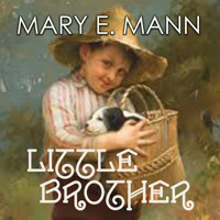 Little Brother - Mary E. Mann - audiobook