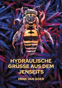 Hydraulische Grüße aus dem Jenseits - Henk van Goer - ebook