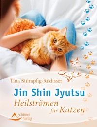 Jin Shin Jyutsu - Tina Stümpfig-Rüdisser - ebook